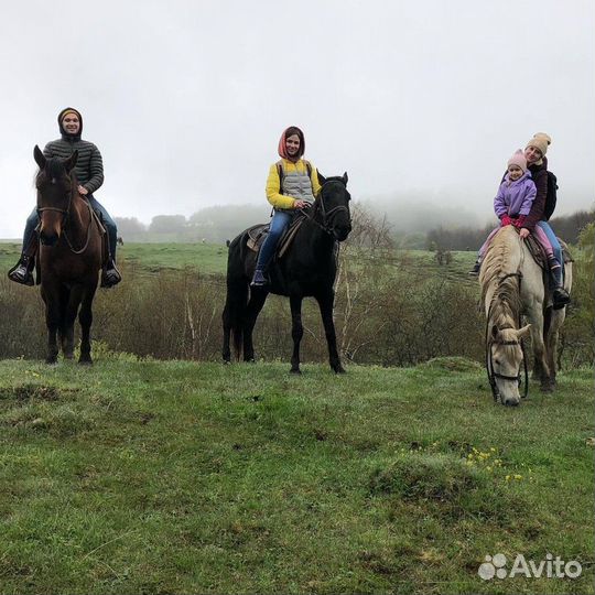 Кисловодск Топ-Экскурсия Конная прогулка в окрестн