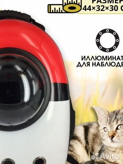 Рюкзак переноска с окном для котов (Новая)