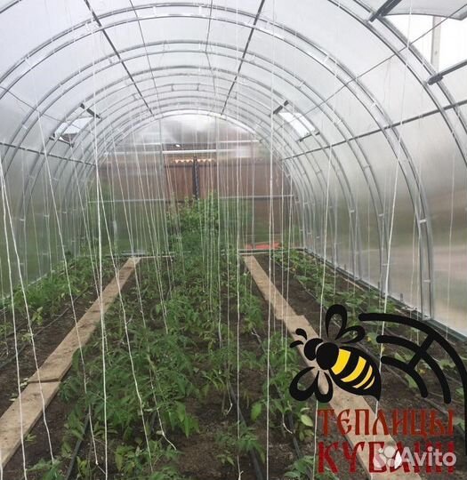Теплица 4 - 10