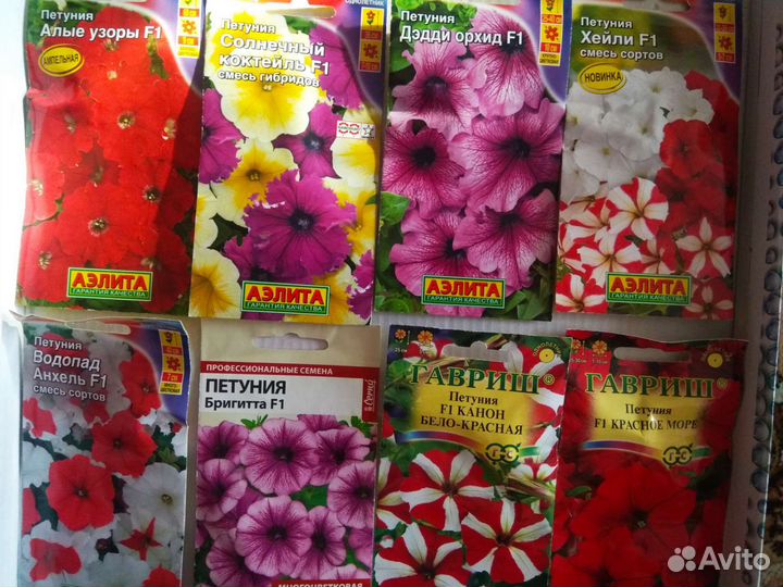 Семена петуний
