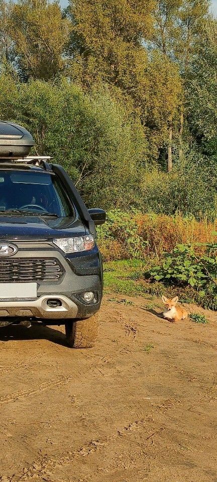 ВАЗ (LADA) Niva Travel: фото владельца