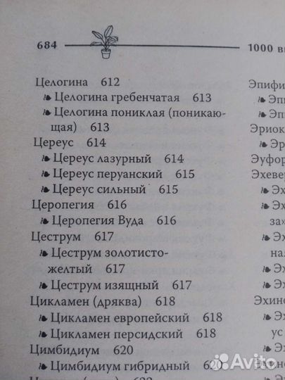 1000 видов комнатных растений