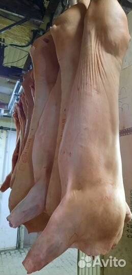 Свинина, говядина (быки, коровы) в тушах и п/т