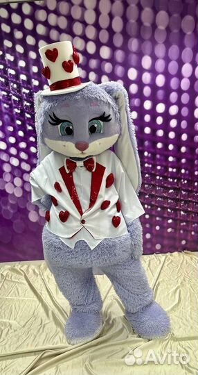 Мишки Тедди и Зайка Лавандочка на любой праздник