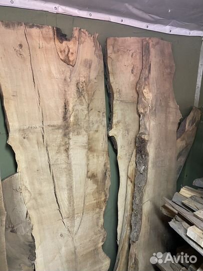 Лес дерево спилы слэб орех карагач