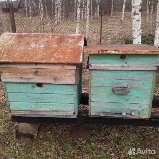 Ульи для пчел