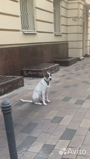 Предложение услуг