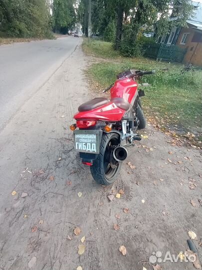 Patron sport 250