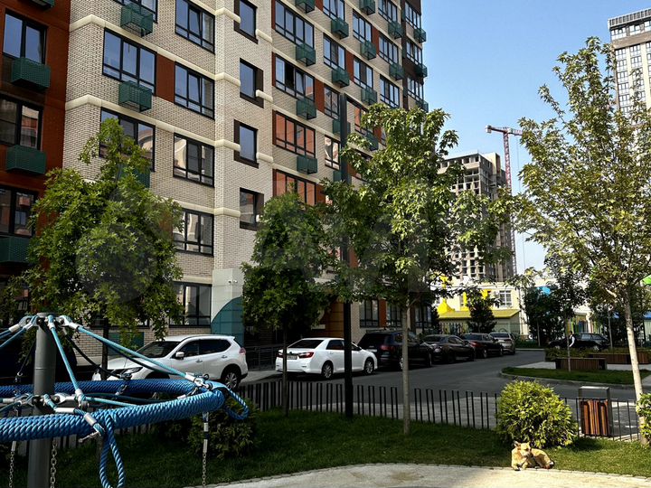 Торговая площадь, 43.37 м²