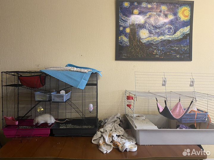 Клетка для грызунов крыс