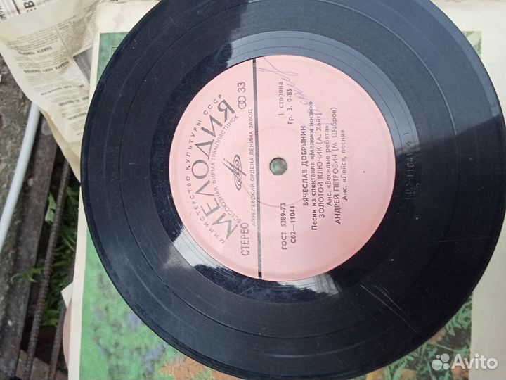 Виниловые пластинки мелодия