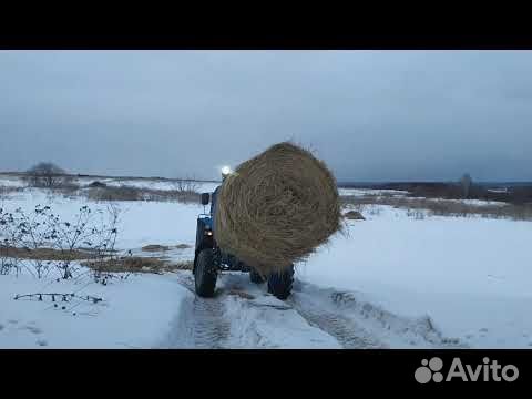 Сено люцерна. Луговое разнотравье