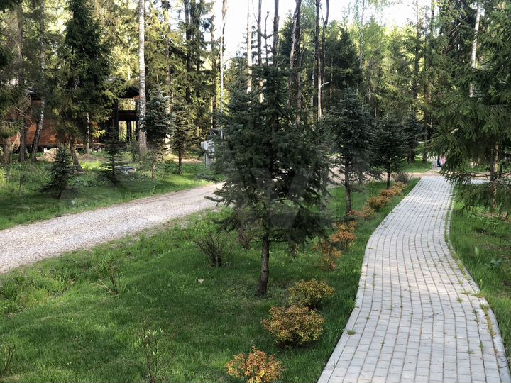 Участок 24 сот. (ИЖС)