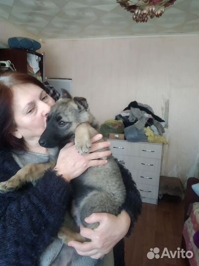 Отдам в добрые руки,кабель
