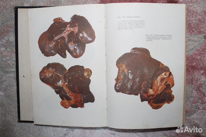 Продаются книги по Ветеринарии