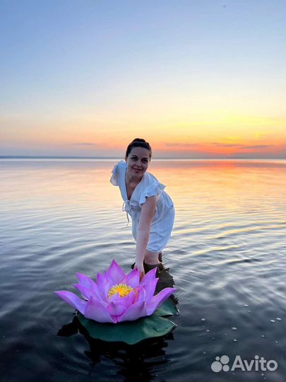 Лотос для фотосессии