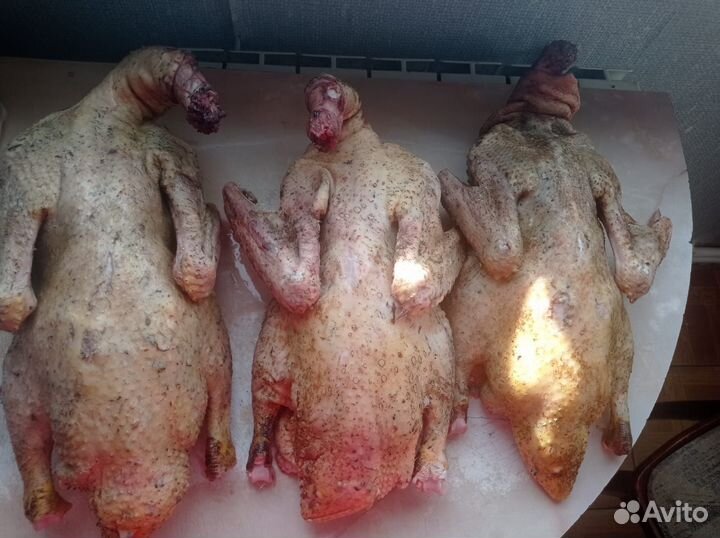 Индоутки на мясо