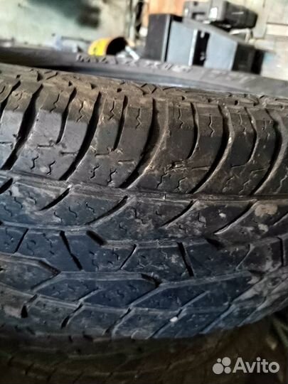 Резина maxxis bravo 771