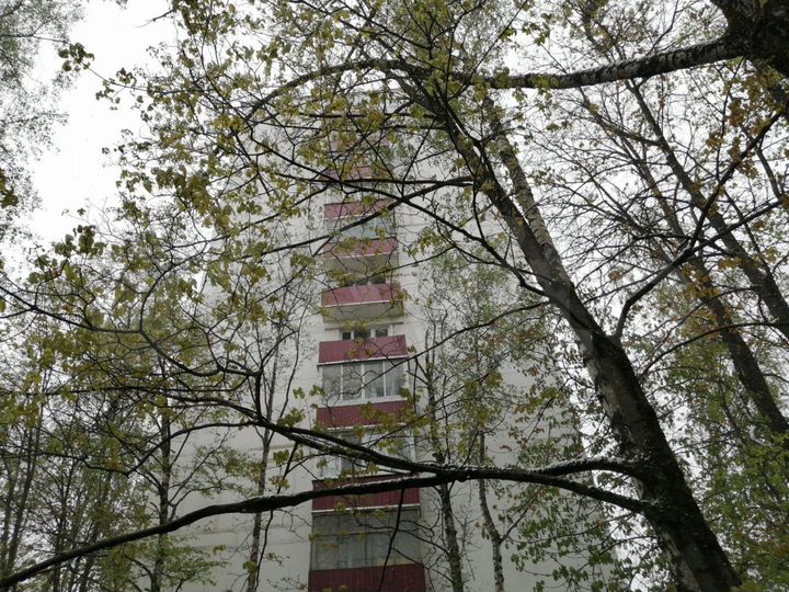 2-к. квартира, 47,4 м², 11/12 эт.