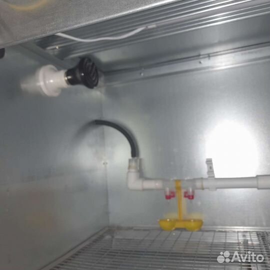 Брудер для цыплят, перепелов