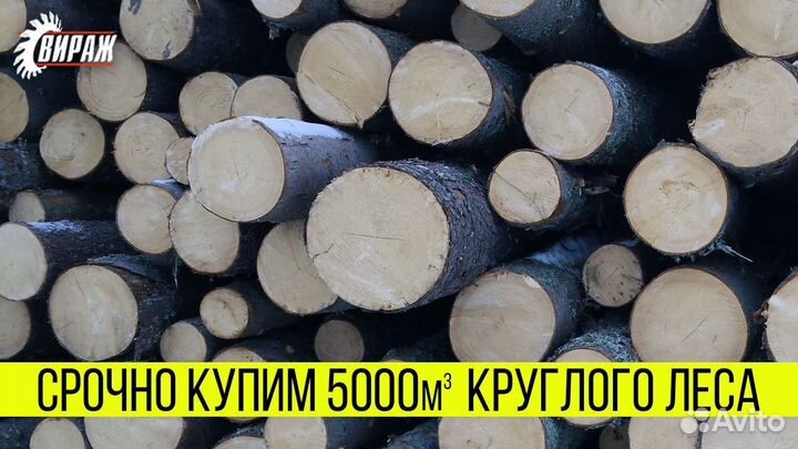 Купим - Еловый кругляк, объем 10000м3, в месяц