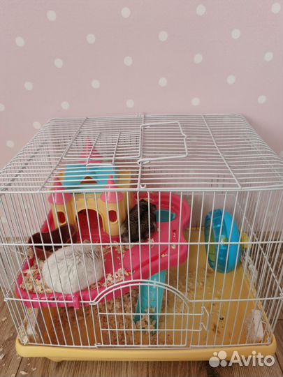 Клетка для хомяка бу