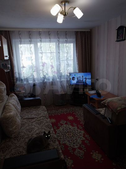 1-к. квартира, 22,5 м², 2/5 эт.