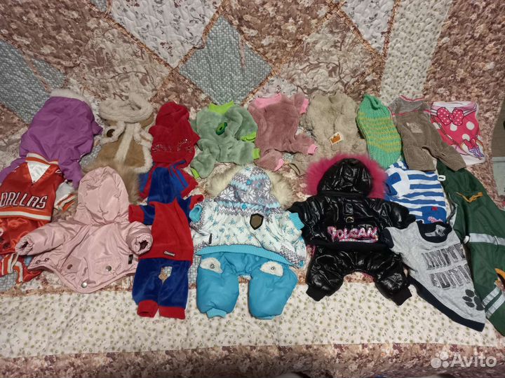 Одежда для мелких собак