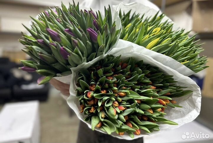 Тюльпаны к 8 марта