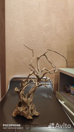 Коряга в аквариум