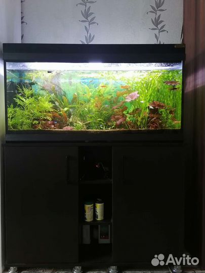 Аквариум