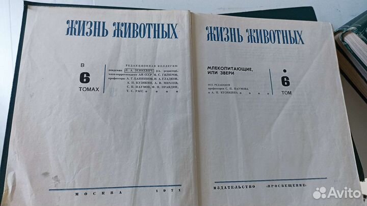 Жизни животных