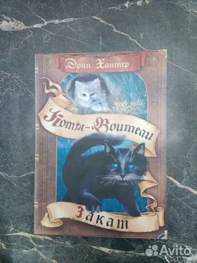 Коты-Воители