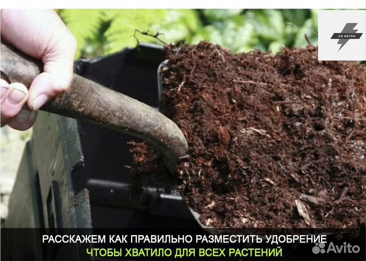 Конский навоз