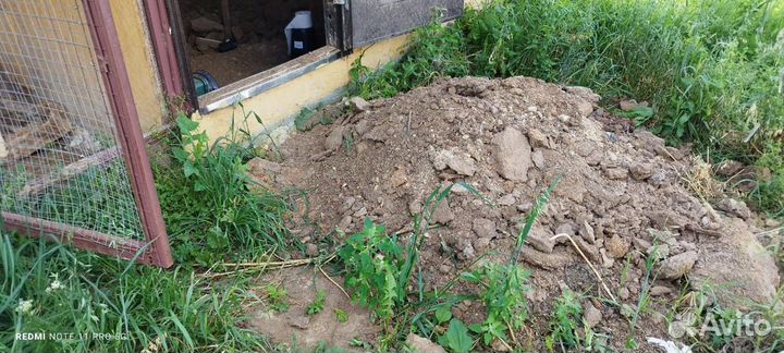 Куринный помет