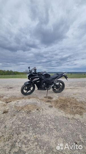 Expert-MOT0 ZF250-2