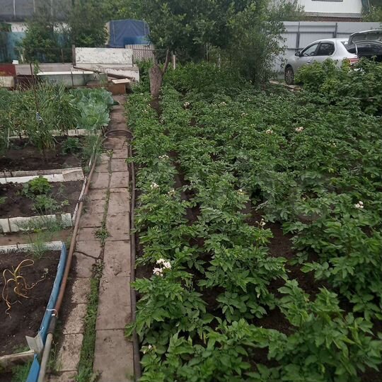 Участок 4 сот. (СНТ, ДНП)