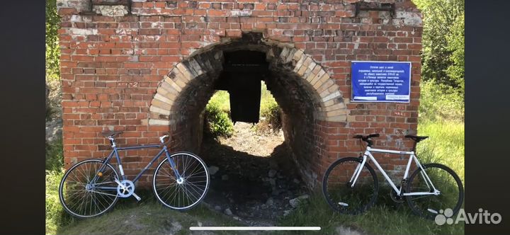 Фикс синглспид