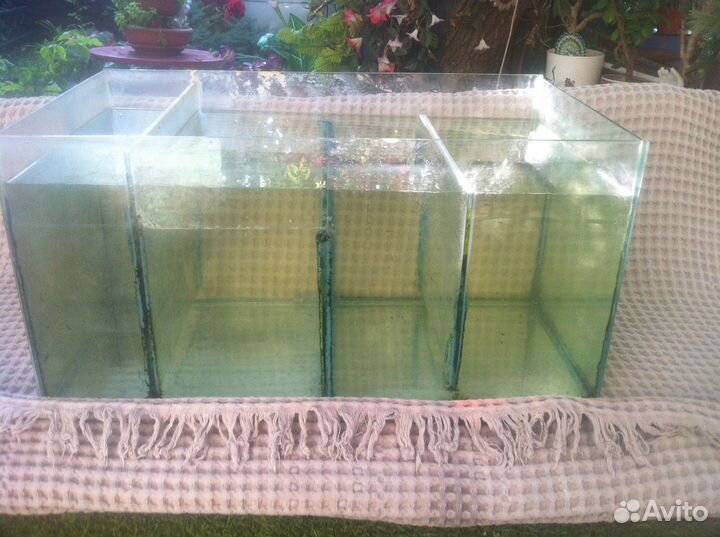 Аквариум для разведения рыб террариум грунт декор