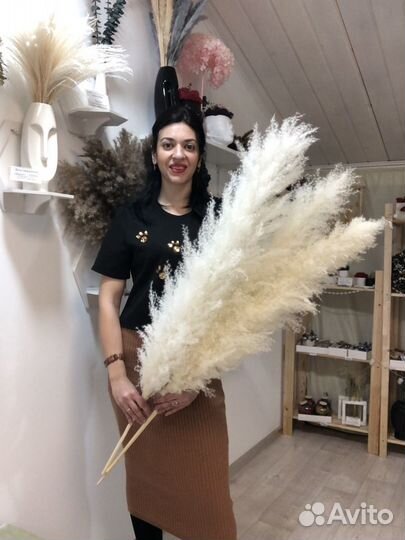 Пампасная трава