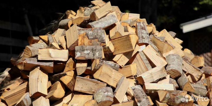 Дрова осина