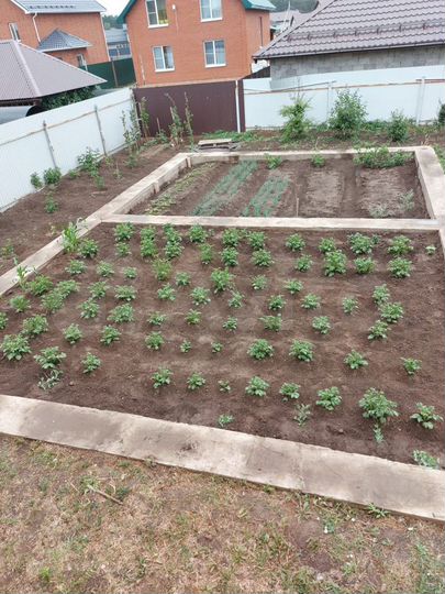 Коттедж 197 м² на участке 8,2 сот.