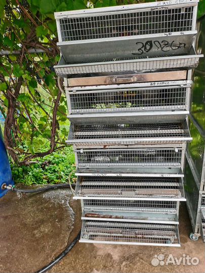 Клетка для перепелов бу