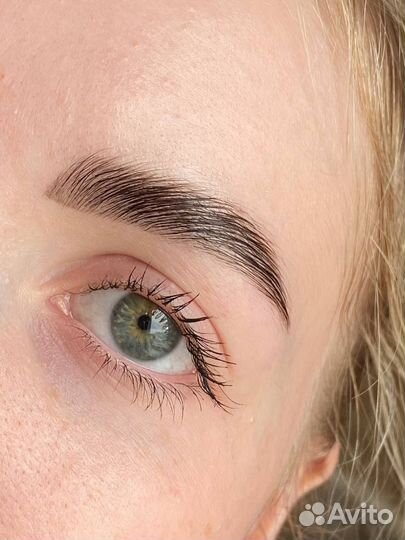 Мастер бровист