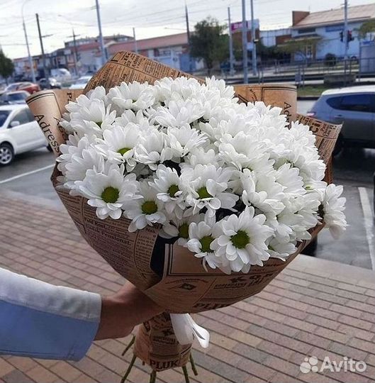 Хризантема Букеты с доставкой