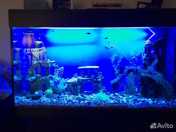 Аквариум в сборе с системами, 200л