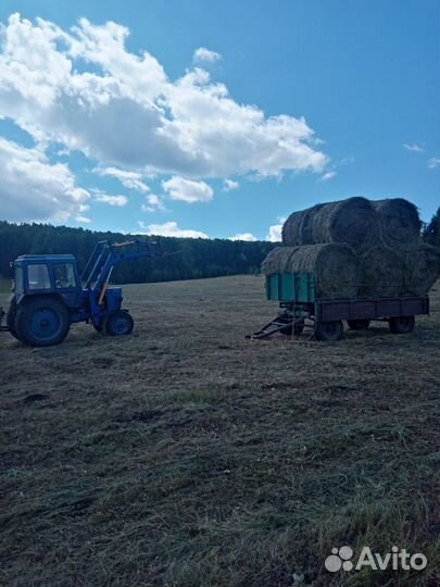 Сено в рулонах