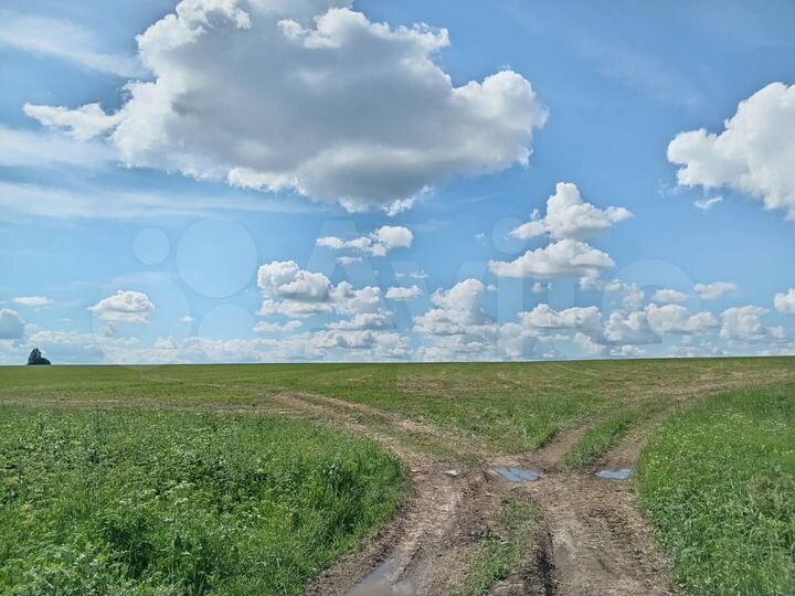 Участок 5,2 га (СНТ, ДНП)