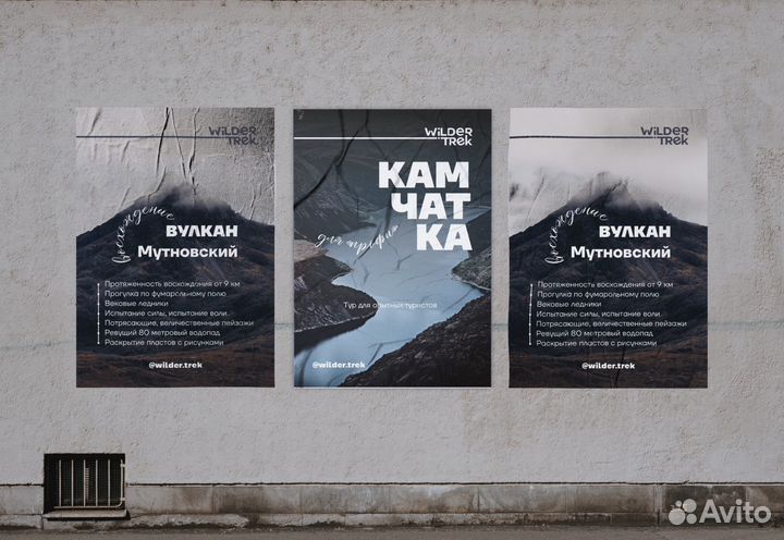 Графический дизайнер/дизайнер полиграфии