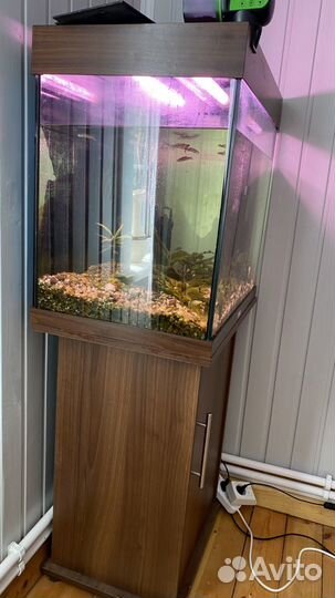 Аквариум 140 с тумбой